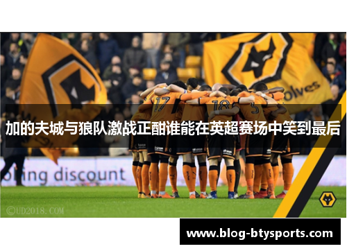 加的夫城与狼队激战正酣谁能在英超赛场中笑到最后