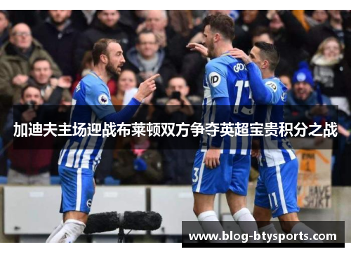 加迪夫主场迎战布莱顿双方争夺英超宝贵积分之战
