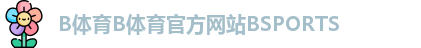 B体育B体育官方网站BSPORTS